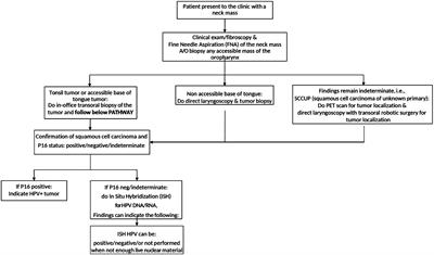 Human papillomavirus circulating tumor DNA: a diagnostic tool in squamous cell carcinoma of unknown primary—a pilot study